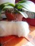 lacemohair1.jpg