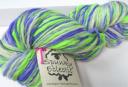 spunky-yarn.jpg