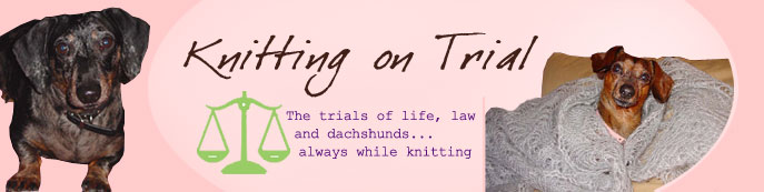 knitting-on-trial.jpg http://midnightknitter.com/blog/wp-content/uploads/2006/08/knitting-on-trial.jpg